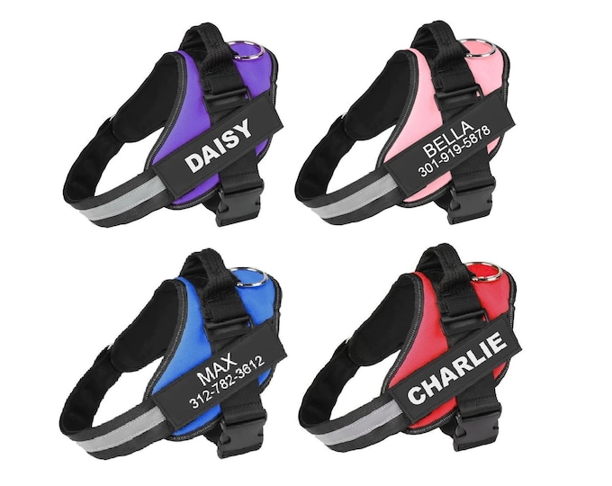Dog Harness With Name And Phone Number