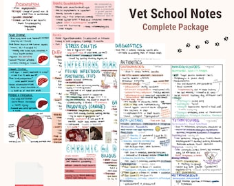 May include: A colorful hand-drawn diagram of a liver with notes about general liver disease, hepatic encephalopathy, stress colitis, infectious diarrhea, feline infectious peritonitis, canine parvovirus, and chronic GI disease. The diagram includes a section on diagnostics and antibiotics. The notes are written in a clear and concise style, making them easy to understand. The diagram is a great resource for veterinary students and professionals.