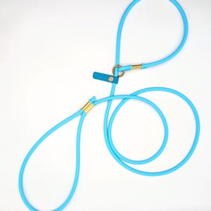 Custom Order | Biothane® Rope Slip Lead Leash (single or Bundle) - Etsy