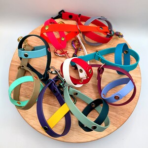 May include: Assortment of colorful, rubber dog leashes with gold metal hardware. The leashes are arranged on a wooden surface.