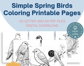 Simple Spring Bird Coloring Pages - Instant Printable Digital Download - 19 Sheets Charming Spring Birds Activities for Young Creative Kids