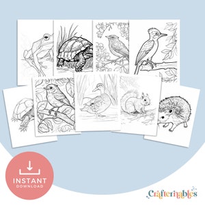 Spring Animal Coloring pages.
