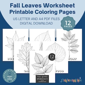 Pode incluir: Um download digital de páginas para colorir de folhas de outono. A imagem mostra várias ilustrações de folhas em preto e branco, com o texto "Fall Leaves Worksheet Printable Coloring Pages" e "12 Pages". Inclui arquivos US Letter e A4 PDF.