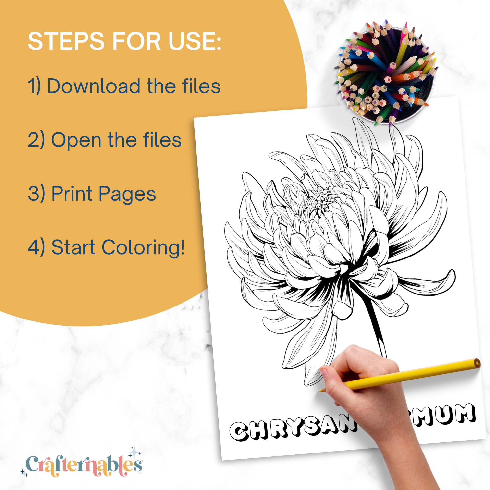 Fall Flower Coloring Pages | 26 Printable Autumn Bloom Worksheets (PDF ...