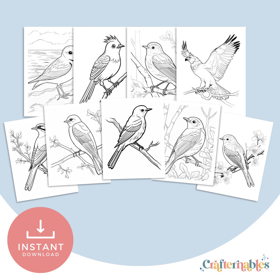 Simple Spring Bird Coloring Pages - Instant Printable Digital Download ...