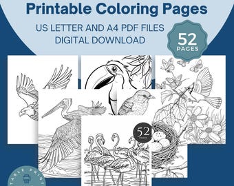 Puede incluir: Descarga digital de páginas para colorear imprimibles con ilustraciones de aves. Las páginas incluyen imágenes de águilas, tucanes, flamencos y más. El texto dice "Summer Birds Printable Coloring Pages" y "52 Pages".