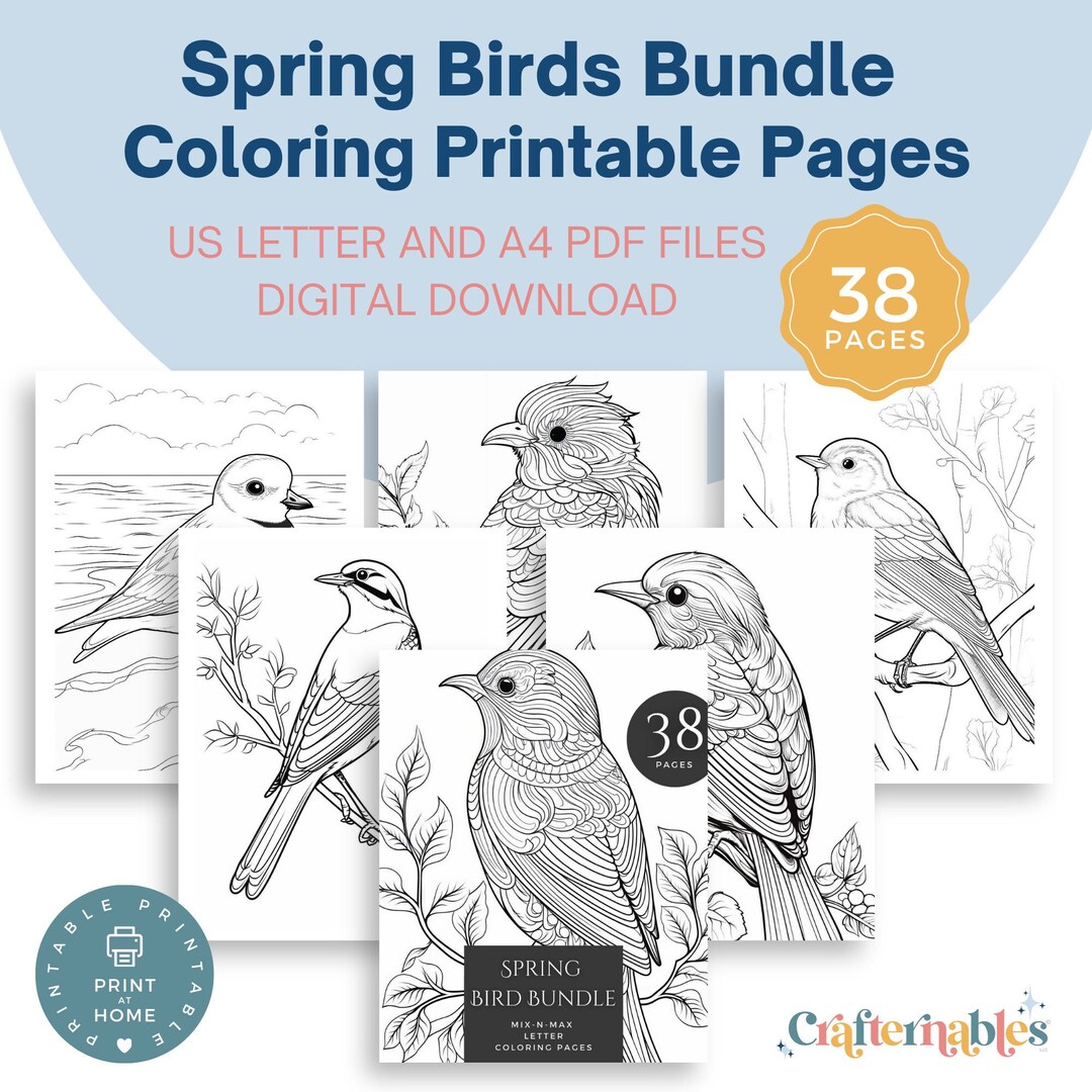 38 Spring Bird Coloring Pages - Instant Printable Digital Download ...