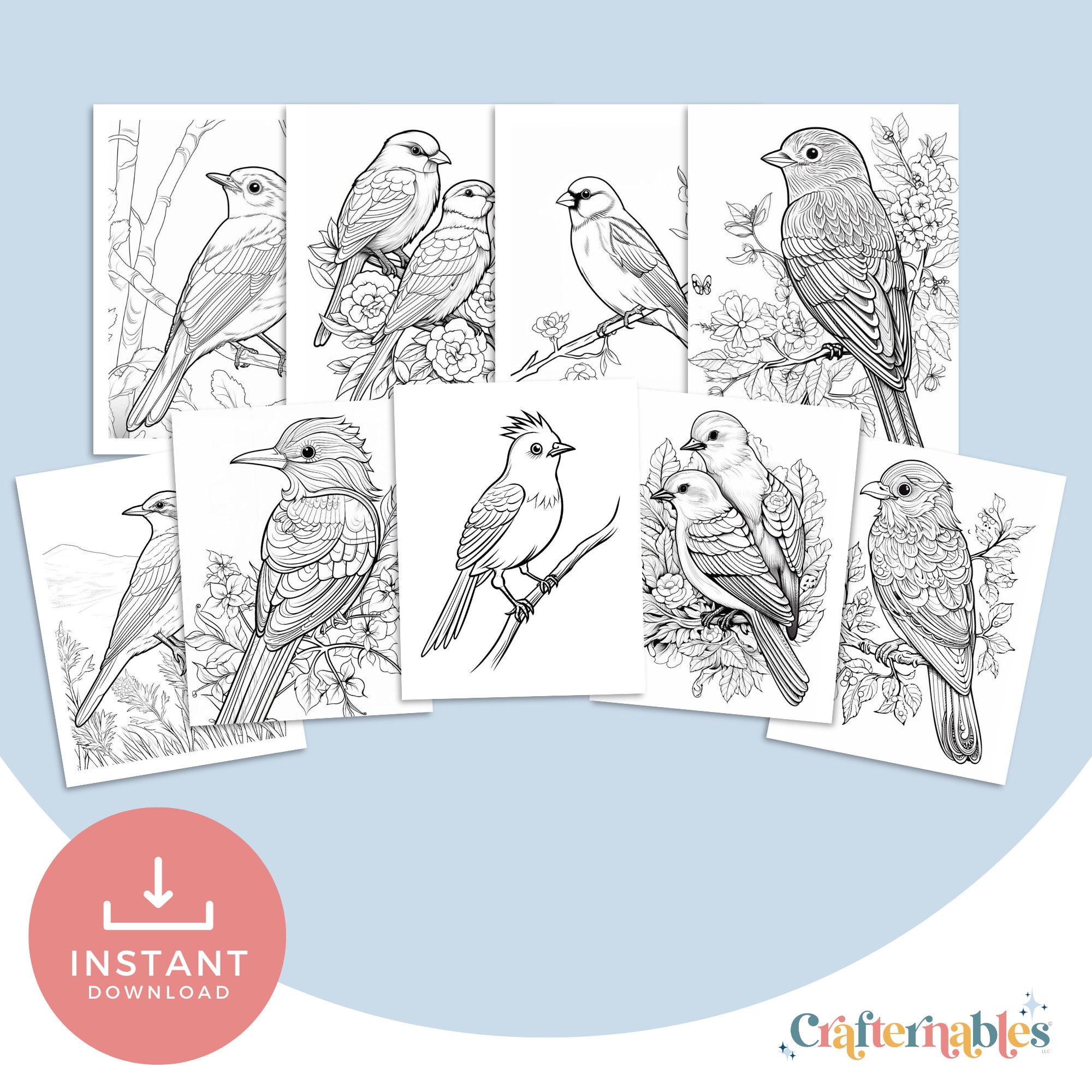 38 Spring Bird Coloring Pages Instant Printable Digital Download ...