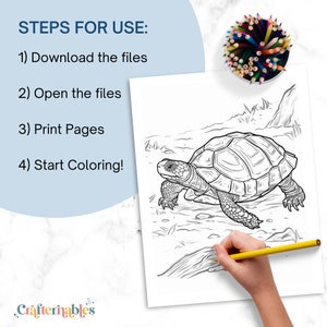 Steps for Use:
1. Download the files
2. Open the files
3. Print pages
4. Start coloring!