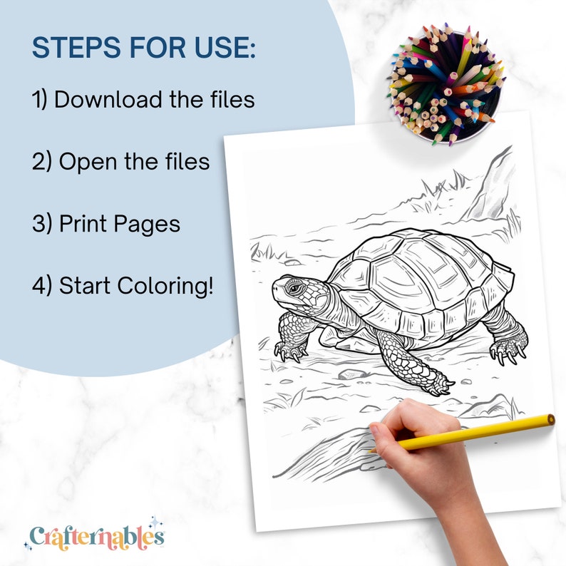 Steps for Use:
1. Download the files
2. Open the files
3. Print pages
4. Start coloring!