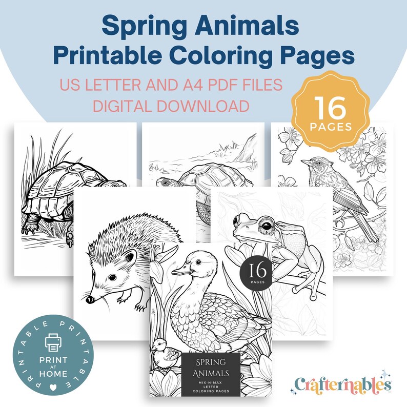 Spring Animal Coloring pages.