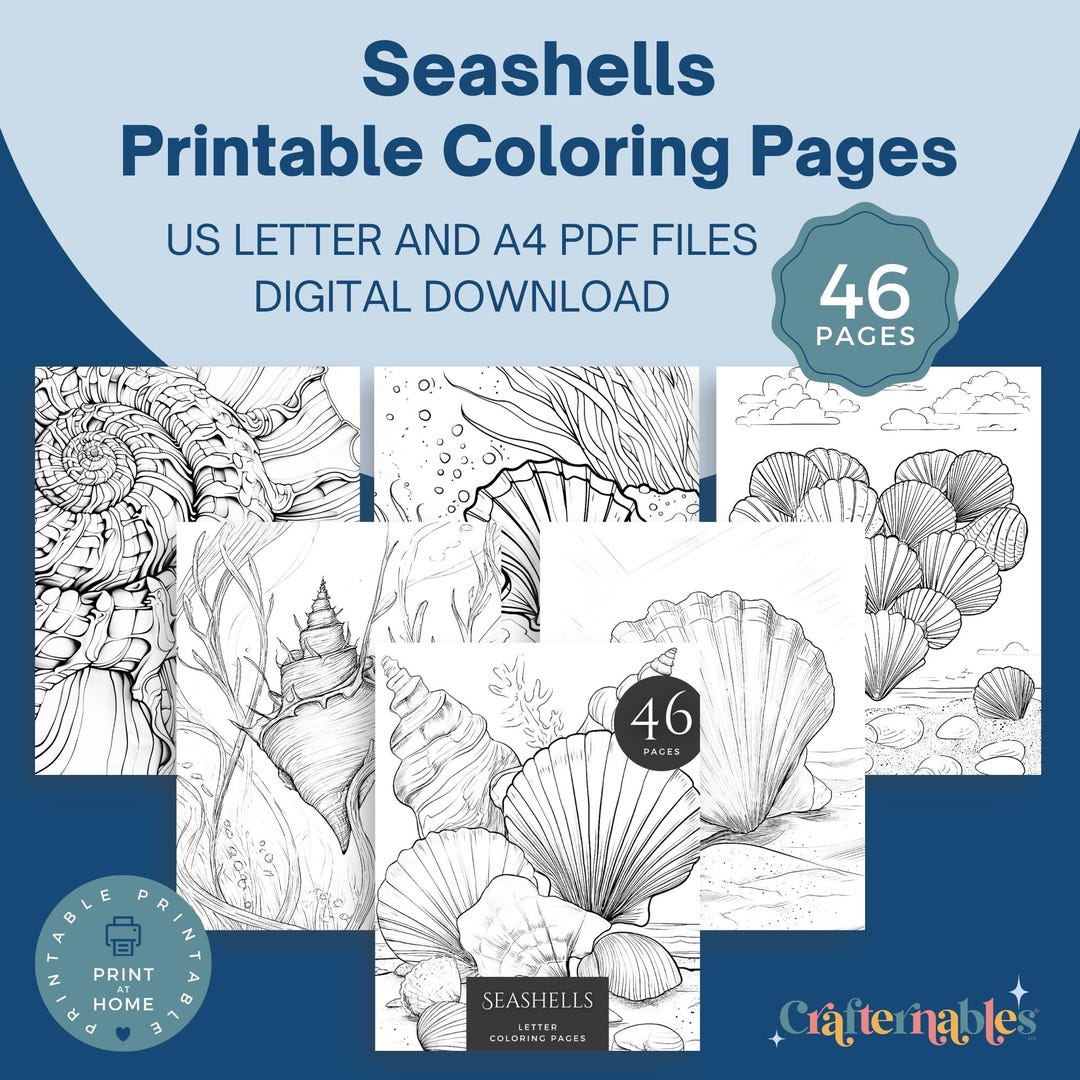 46 Seashell Coloring Pages for Adults and Kids | Printable Beach ...