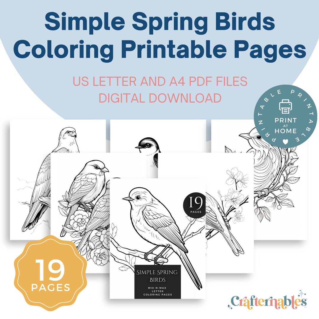 Simple Spring Bird Coloring Pages Instant Printable Digital Download 19 ...