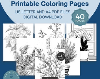 Pode incluir: Download digital de páginas para colorir de plantas de inverno. A imagem mostra desenhos a traço em preto e branco de plantas, como poinsétias e cactos. O texto inclui "Winter Plants Printable Coloring Pages" e "40 Pages".