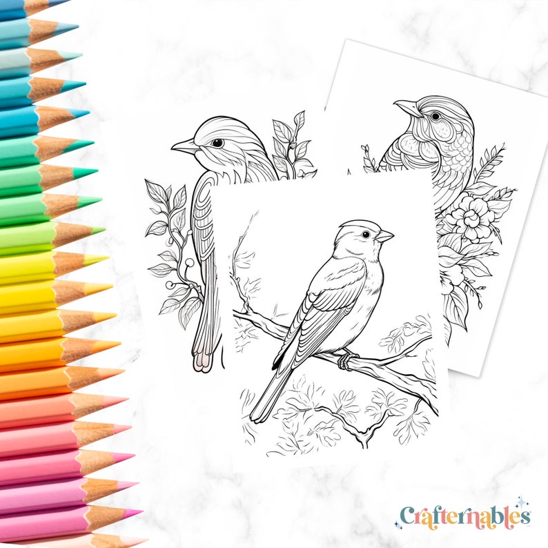 38 Spring Bird Coloring Pages Instant Printable Digital Download ...