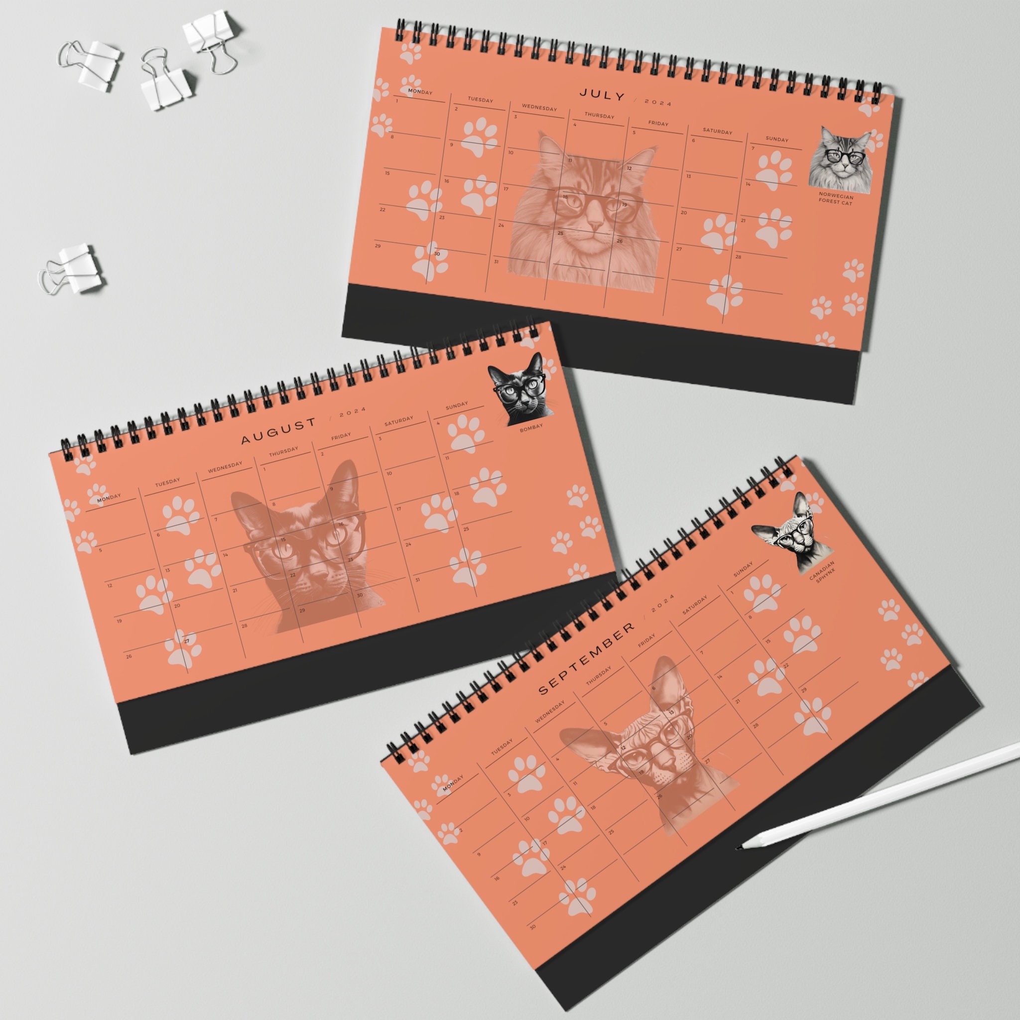 2024 Calendar 2024 Cats Desk Calendar Cats Wearing Glasses Etsy