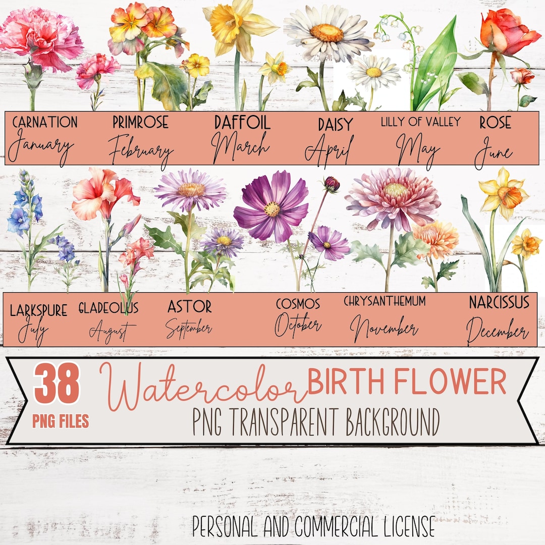 Birth Month Flowers Clipart, Watercolor Floral PNG Bundle, Flower