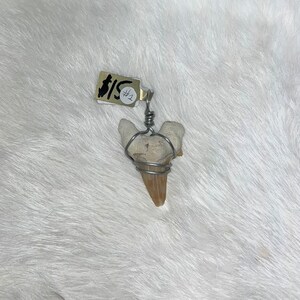 Shark tooth pendant #1