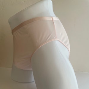 Könnte beinhalten: Ein Paar hautfarbener Unterwäsche mit einem Satinbund.