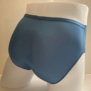 Hanes Women's Lace Waistband Nylon Brief Underwear, 6-Pack