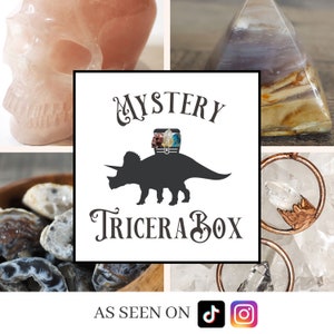 TriceraBox Mystery Box - Crystals, Fossils, and more!