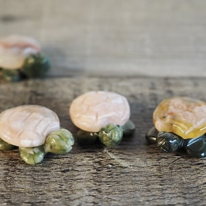 Adorable Tree Jasper and Sakura Flower Agate Turtle Mini Carvings