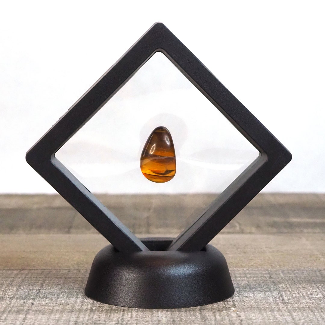 Myanmar Amber With Cockroach Insect Inclusion in Floating Display Frame ...