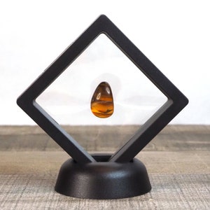 May include: A small, teardrop-shaped, orange and brown gemstone displayed in a black, square, display case with a black base.
