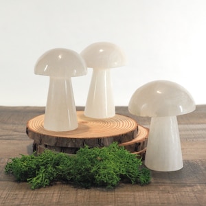 Adorable, Large Satin Spar Selenite Mushroom Carvings