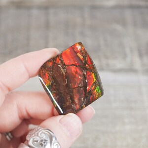 May include: A polished gemstone with a vibrant display of colors, including red, orange, and green. The gemstone is held in a hand, showcasing its unique patterns and textures. The stone has a rectangular shape.