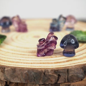 Adorable Set of 2 Crystal Mini Rainbow Fluorite Fairy and Mushroom Carvings