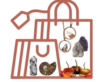 Personal Shopping Appointment – Crystals & Fossils, Expert Guidance