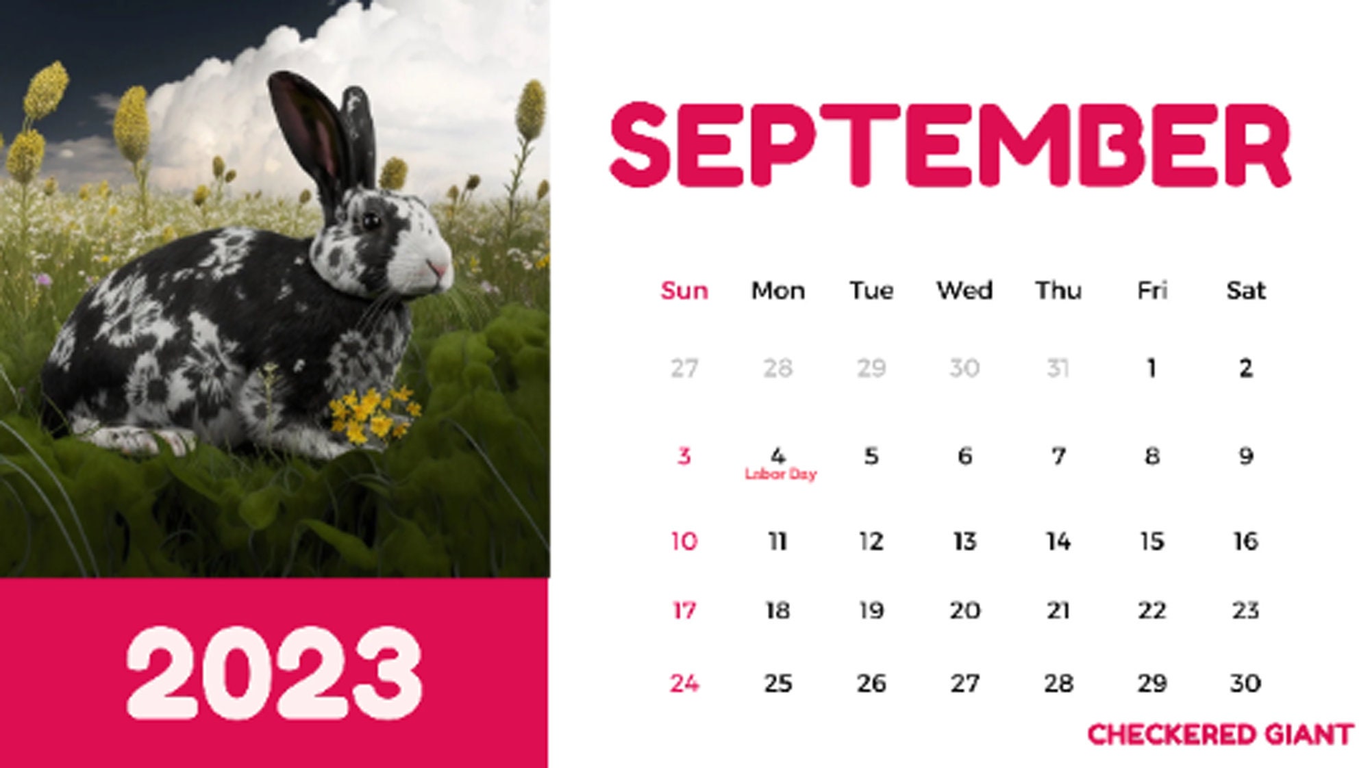 RABBIT CALENDAR 2003, 04 and 05, Printable, 3 Year Calendar Covering ...