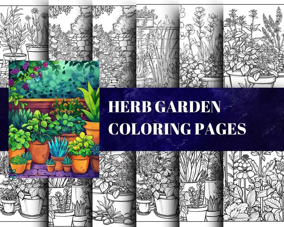Herb Garden Printable Coloring Pages 40 A4 Pages Botanical Coloring ...