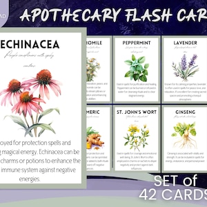Tarjetas flash de boticario imprimibles, hierbas medicinales y de cocina - Conjunto de 42 - Herboristería, Brujería, Magia - Descarga instantánea