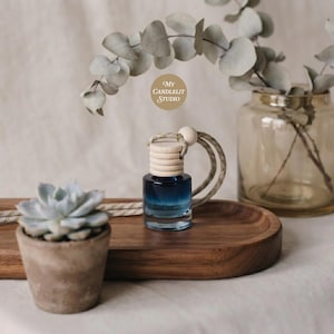 May include: A small glass car diffuser bottle with a dark blue gradient, featuring a light-colored wooden cap and a hanging cord. The bottle is positioned on a wooden tray next to a small succulent in a concrete pot and a glass vase with eucalyptus.