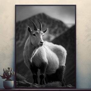 Mountain Goat   Posters Prints Wall Art Modern Home Room Bar Decor Painting  Unframed