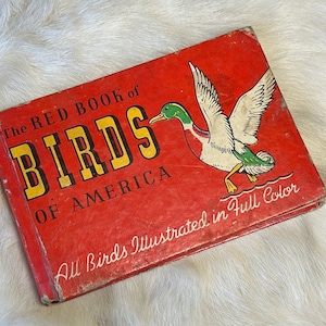 Red Book of Birds of America 1931 color illustrations Vintage Bird Book Farmhouse Decor