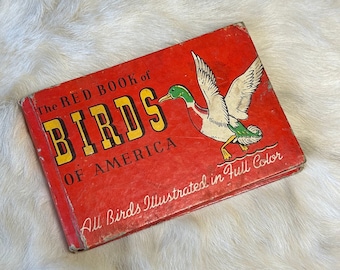 Red Book of Birds of America 1931 color illustrations Vintage Bird Book Farmhouse Decor