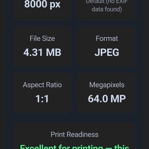 May include: A dark background displays image specifications. The resolution is 8000 x 8000 px, with 72 DPI. The file size is 4.31 MB, in JPEG format, and has a 1:1 aspect ratio. The image is 64.0 MP and excellent for printing.