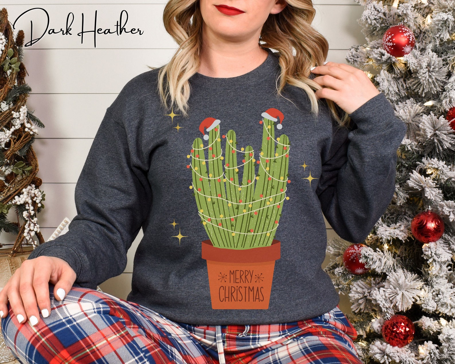 Merry Christmas From Arizona, Christmas in the Desert, Cactus Lover