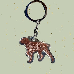 May include: A clear acrylic keychain featuring a brown and white dog design. The dog is a German Shorthaired Pointer. The keychain has a silver metal ring and chain. The background is a light green color with gold glitter.