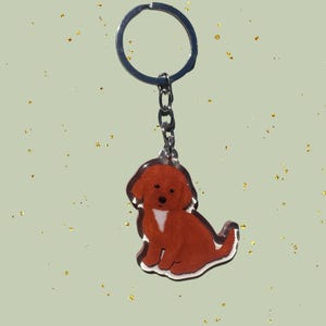 May include: A keychain featuring a brown dog illustration with a white chest, attached to a silver chain and ring. The dog is sitting, with a white outline. The background is a light green color with gold flecks.
