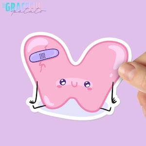 May include: A pink cartoon thyroid gland with a happy face and a bandage on its side. The thyroid is sitting on a white background.