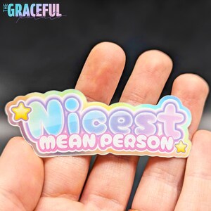 Nicest Mean Person Vinyl Sticker | Water bottle sticker | Funny | Kawaii | Sparkle | Holographic