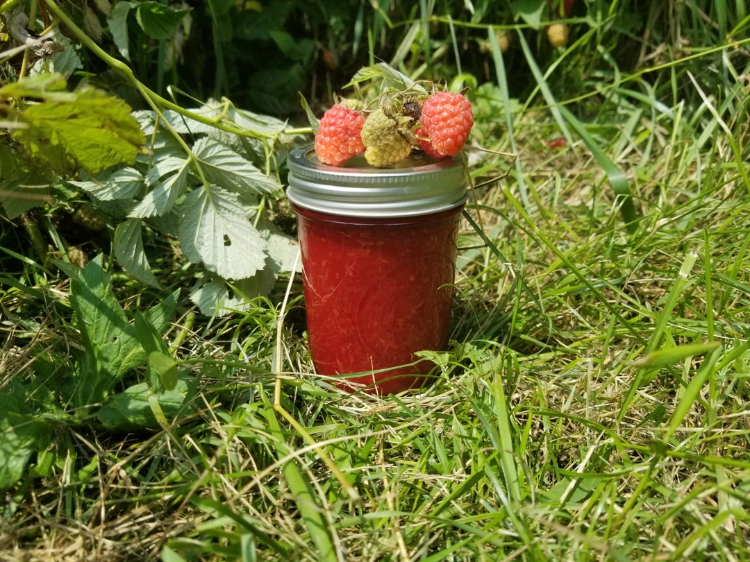 Raspberry Jam Low Sugar Pectin Homemade Jam, NYS Certified Etsy