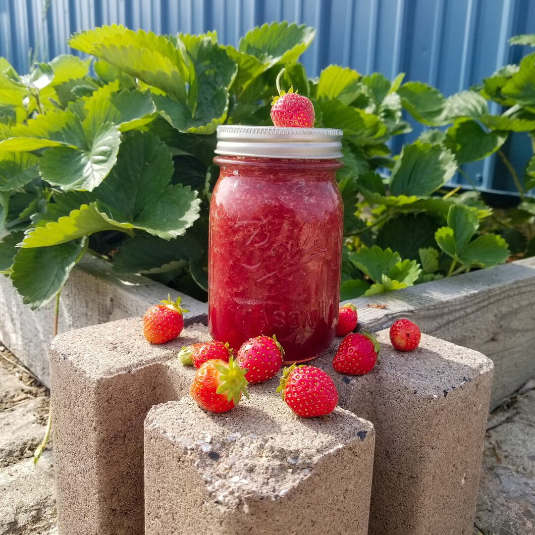 Strawberry Jam Low Sugar Pectin Homemade Jam, NYS Certified Etsy