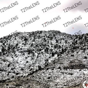 Digital photo of snow