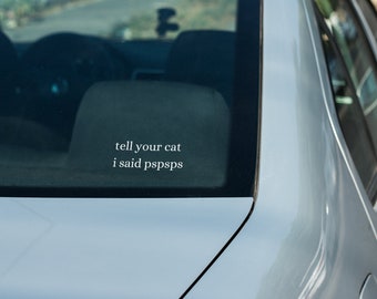 May include: A silver car with a white sticker on the rear window that says "tell your cat i said pspsps"