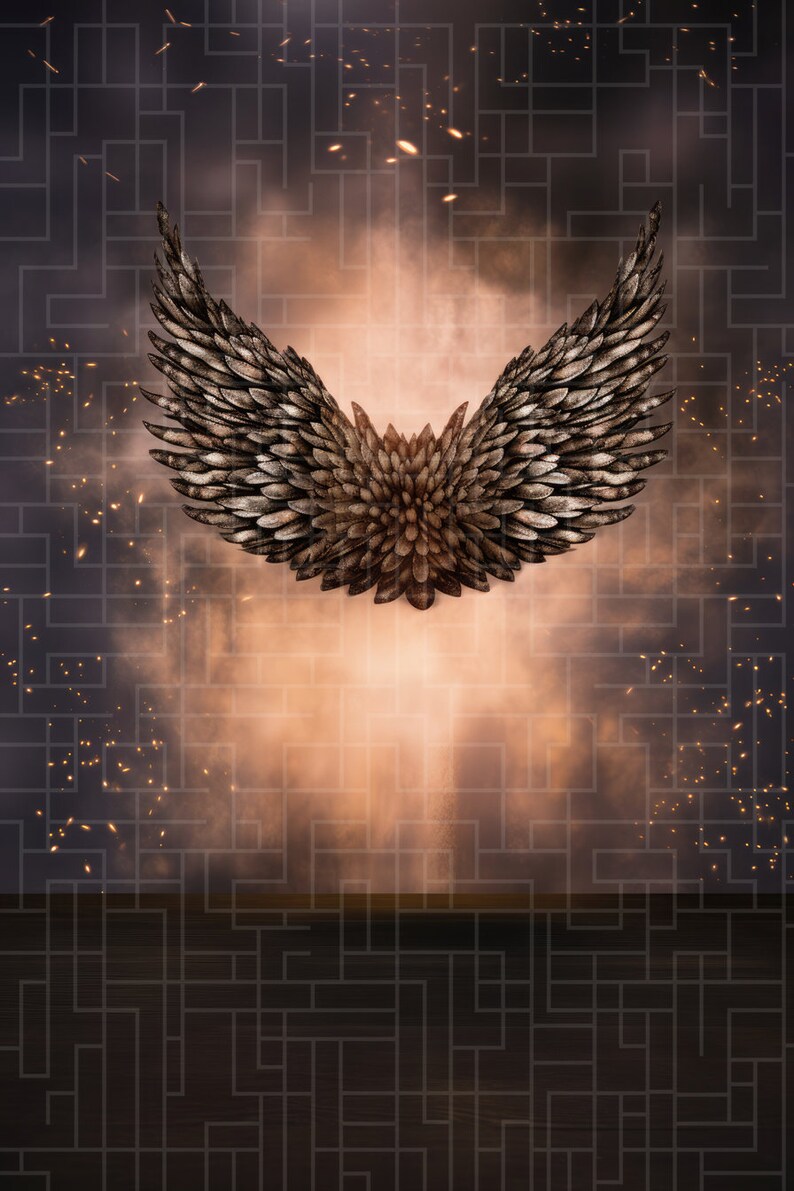 Angel Wings Heaven Digital Backdrops Digital Backgrounds Maternity ...